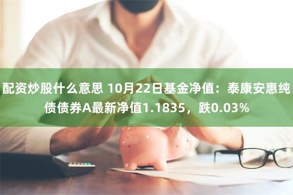 配资炒股什么意思 10月22日基金净值：泰康安惠纯债债券A最新净值1.1835，跌0.03%