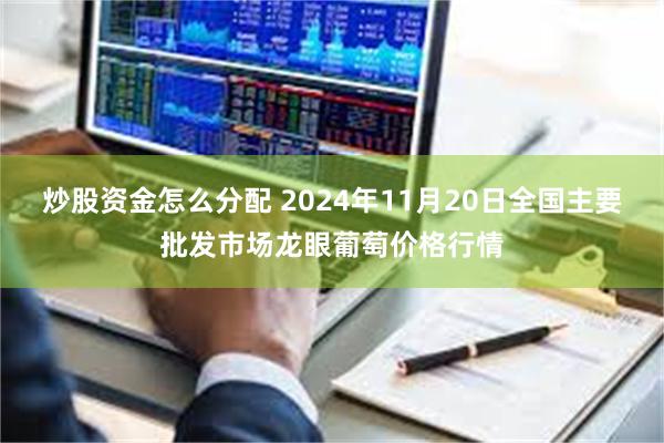 炒股资金怎么分配 2024年11月20日全国主要批发市场龙眼葡萄价格行情