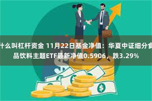 什么叫杠杆资金 11月22日基金净值：华夏中证细分食品饮料主题ETF最新净值0.5906，跌3.29%