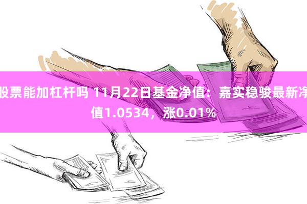 股票能加杠杆吗 11月22日基金净值：嘉实稳骏最新净值1.0534，涨0.01%