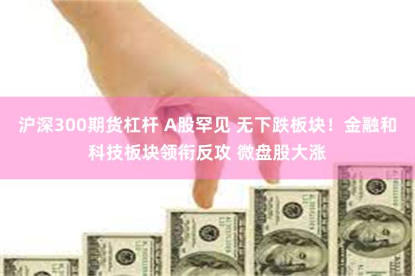 沪深300期货杠杆 A股罕见 无下跌板块！金融和科技板块领衔反攻 微盘股大涨