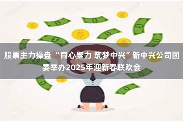 股票主力操盘 “同心聚力 筑梦中兴”新中兴公司团委举办2025年迎新春联欢会