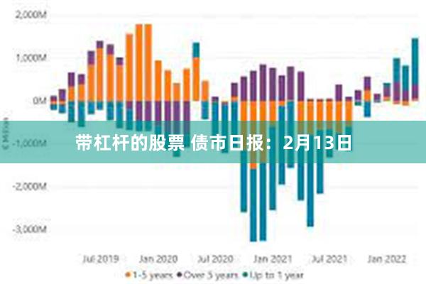 带杠杆的股票 债市日报：2月13日