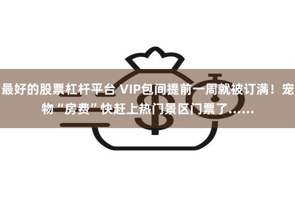 最好的股票杠杆平台 VIP包间提前一周就被订满！宠物“房费”快赶上热门景区门票了......