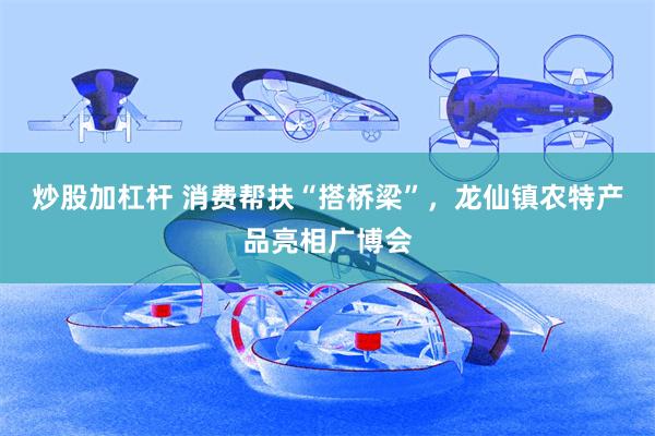 炒股加杠杆 消费帮扶“搭桥梁”，龙仙镇农特产品亮相广博会