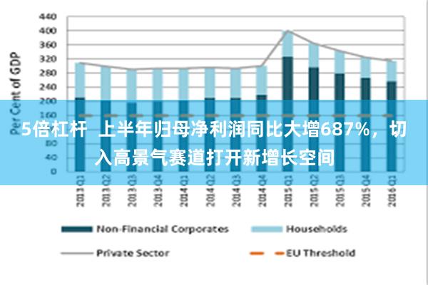 5倍杠杆  上半年归母净利润同比大增687%，切入高景气赛道打开新增长空间