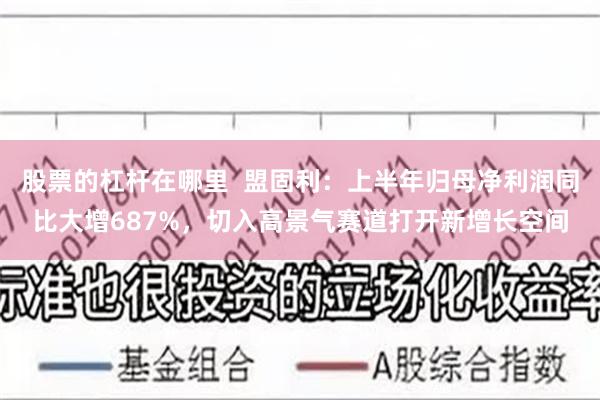 股票的杠杆在哪里  盟固利：上半年归母净利润同比大增687%，切入高景气赛道打开新增长空间